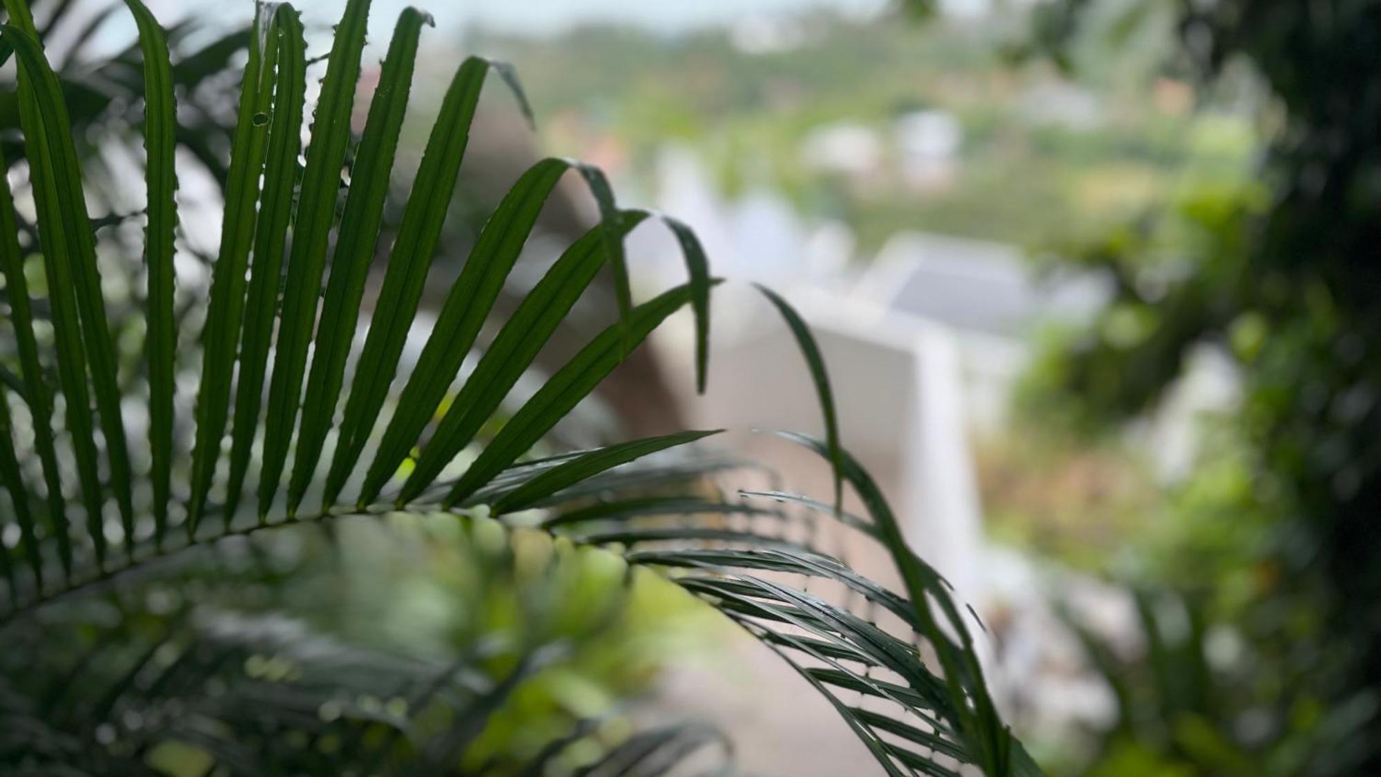 Anzhu Seamate Villa Samui Nathoni-öböl Kültér fotó